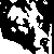 :iconlaika-fetch: