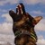 :iconlaikanwolf: