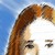 :iconlain-lorentz: