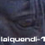 :iconLaiquendi-1: