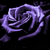 :iconlairadaewen: