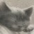 :iconlaivine-chan: