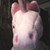 :iconlakailey: