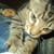 :iconlakenkitty2: