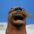 :iconlakitual: