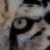 :iconlakotai: