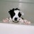Lala-lana :iconlala-lana: