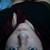 :iconlala-lolipop: