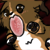 :iconLala8977: