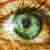 :iconlalaladay: