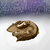 :iconlalalondes: