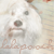:iconlalapooch:
