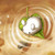 :iconlallathehedgie: