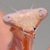 :iconlalosleftshoe: