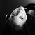 :iconlaluce89: