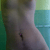 :iconlalunasuicide: