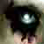:iconLalyil: