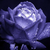 :iconlalythil: