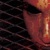 :iconlambofgod1: