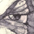 :iconlambofthemoon:
