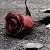 :iconlamentsrose: