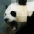 :iconLamePanduh: