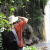 :iconlancehinds: