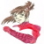 :iconlanceraynelives: