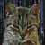 :iconlancerion: