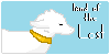 :iconland-of-lost: