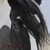 :iconlandcaster1: