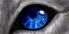 group avatar