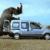 :iconlandsedge: