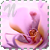 :iconlanebbia: