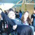 :iconlaney-bug: