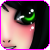 :iconlangosta: