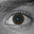 :iconlanthanoid: