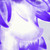 :iconlantheros: