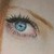 :iconlapicher: