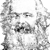 :iconlapinosor: