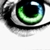 :iconlarabella: