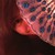 :iconlarachristinee: