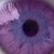 :iconlarea: