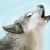 :iconlarimarheart: