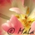 :iconlariska172: