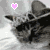 :iconlarissaroo: