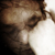 :iconlariz19: