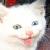 :iconlaser-behm: