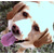 :iconlashelle: