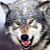 :iconlassgork: